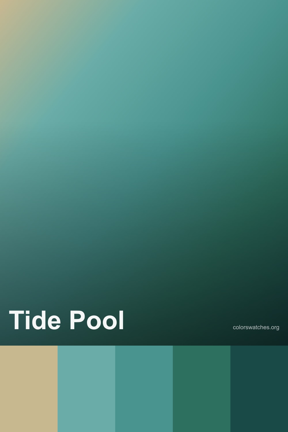 Tide Color Swiled Tide Pool Color Palette — Teal, Sea Glass, Kelp, and Coastal Stone ...
