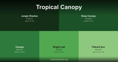 Tropical Canopy
