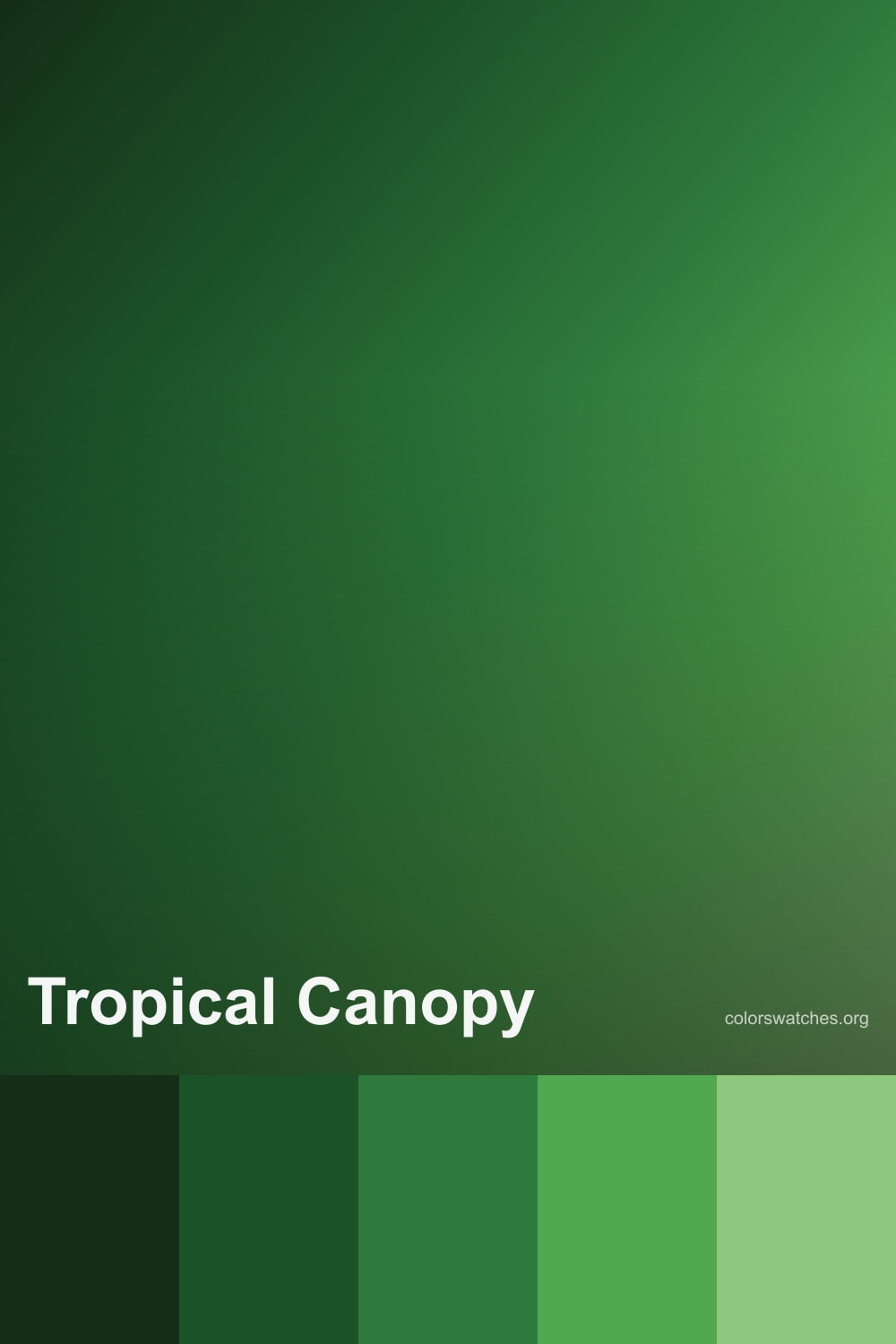 Tropical Canopy Color Palette — Deep Rainforest Greens for Bold Design ...