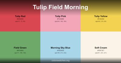 Tulip Field Morning
