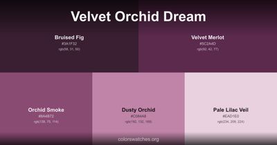Velvet Orchid Dream