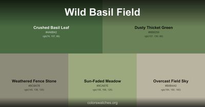 Wild Basil Field